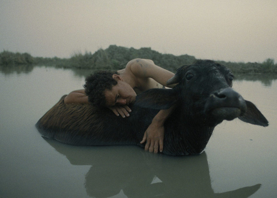 Dubine presušene močvare