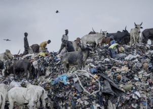 FOTO IZLOŽBA: Katastrofa brze mode