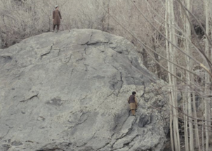 Priče koje pune dvorane, ostaju uz gledatelje i osvajaju festivale